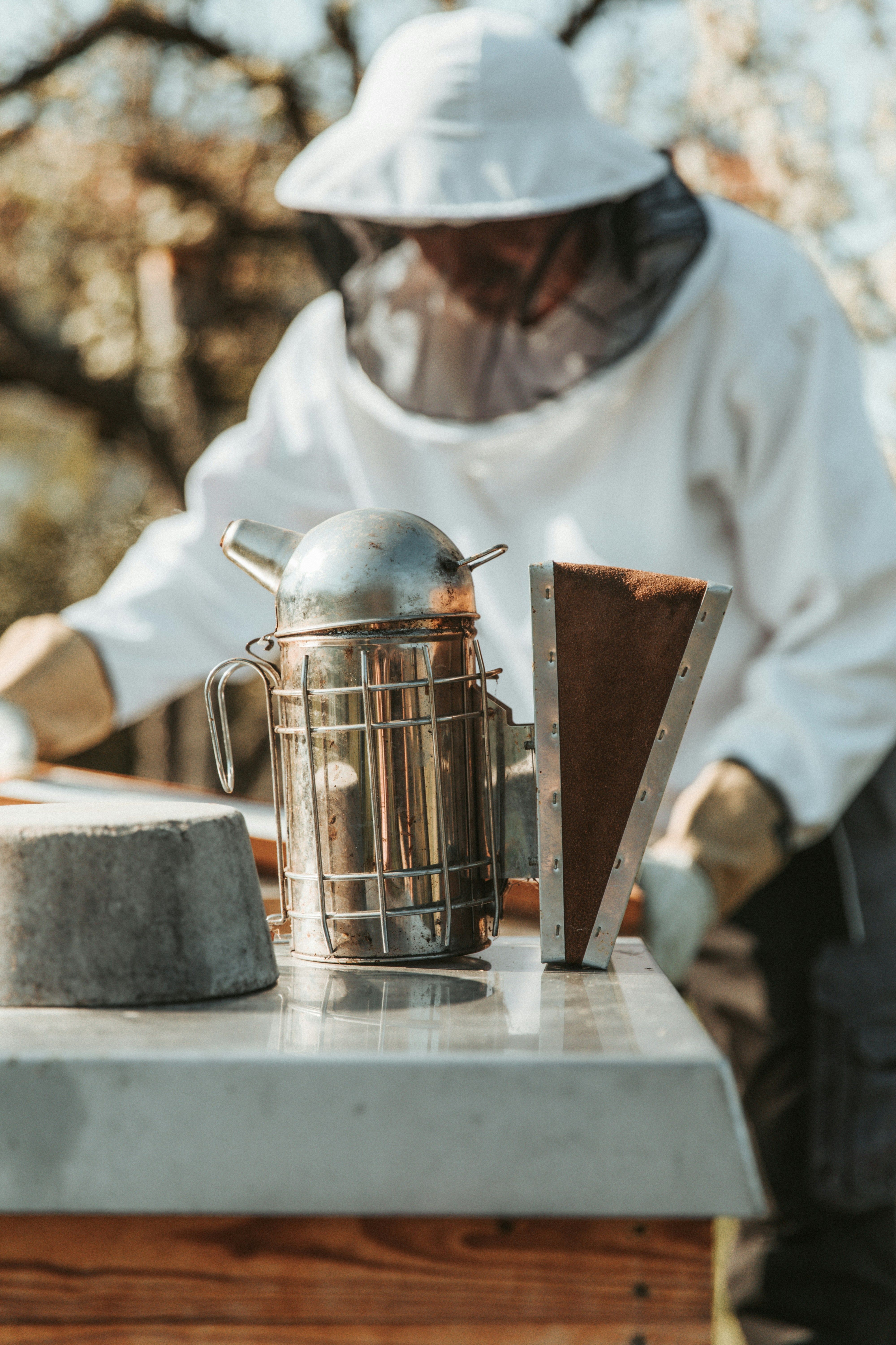 Beekeeper with tools